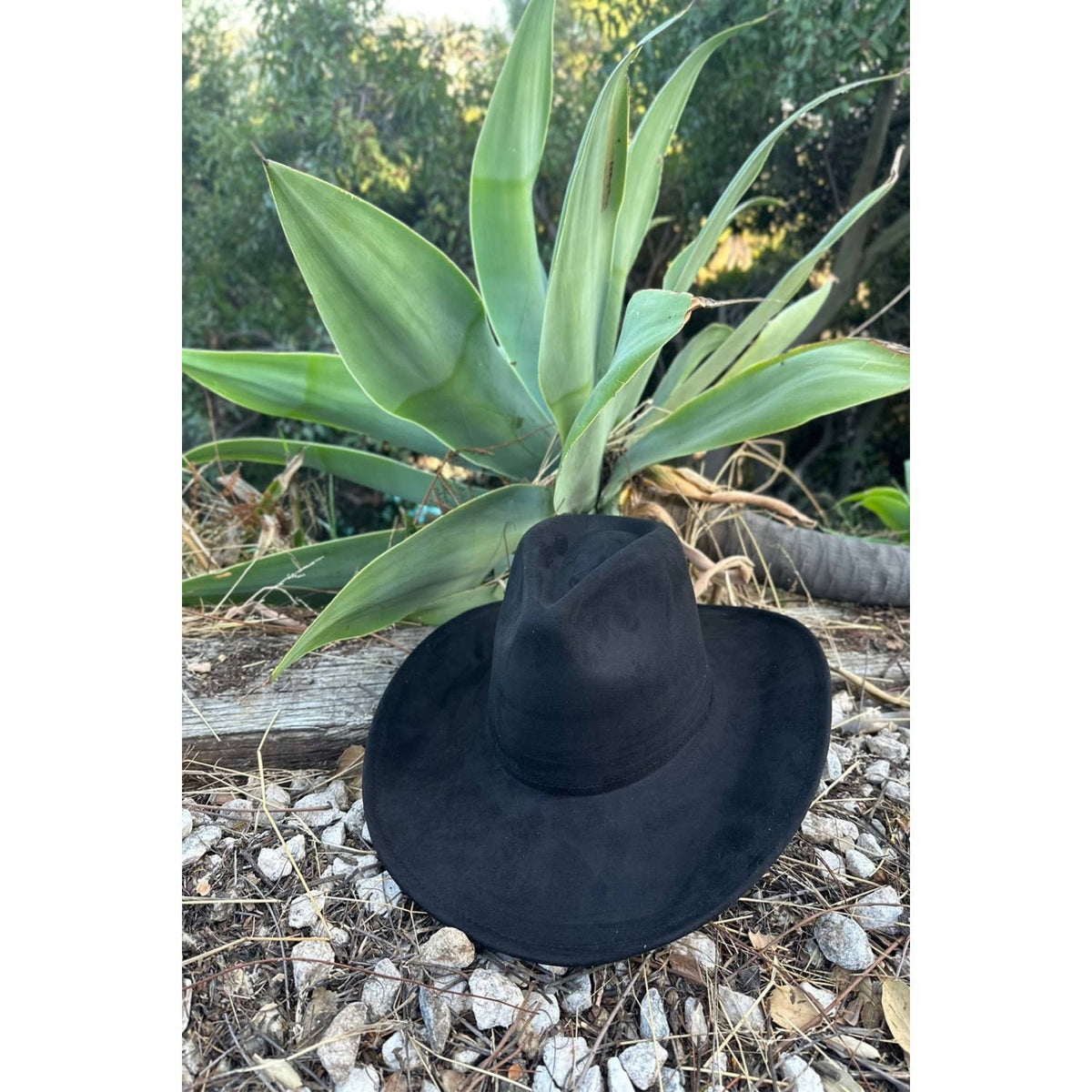 Queens INC - Fashion Vegan suede cowboy Hat : BLACK / ONE SIZE