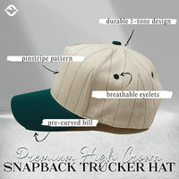 Funky Junque - Two Tone Vintage Snapback Hat - Pinstripe - Green/Beige