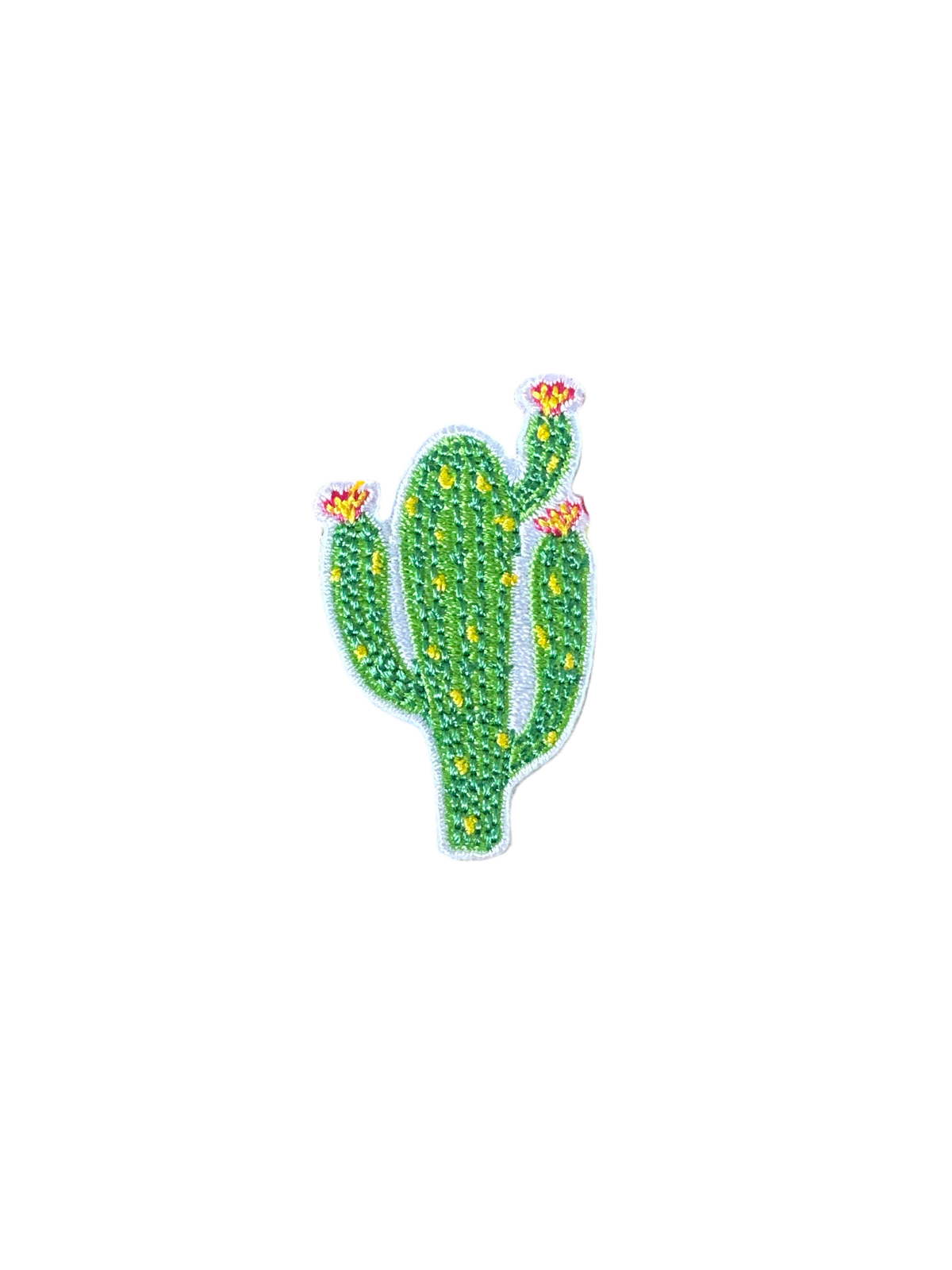 Cactus Patch