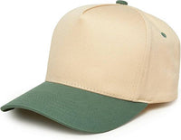 Funky Junque - Two Tone Vintage Snapback Hat - Sage/Beige