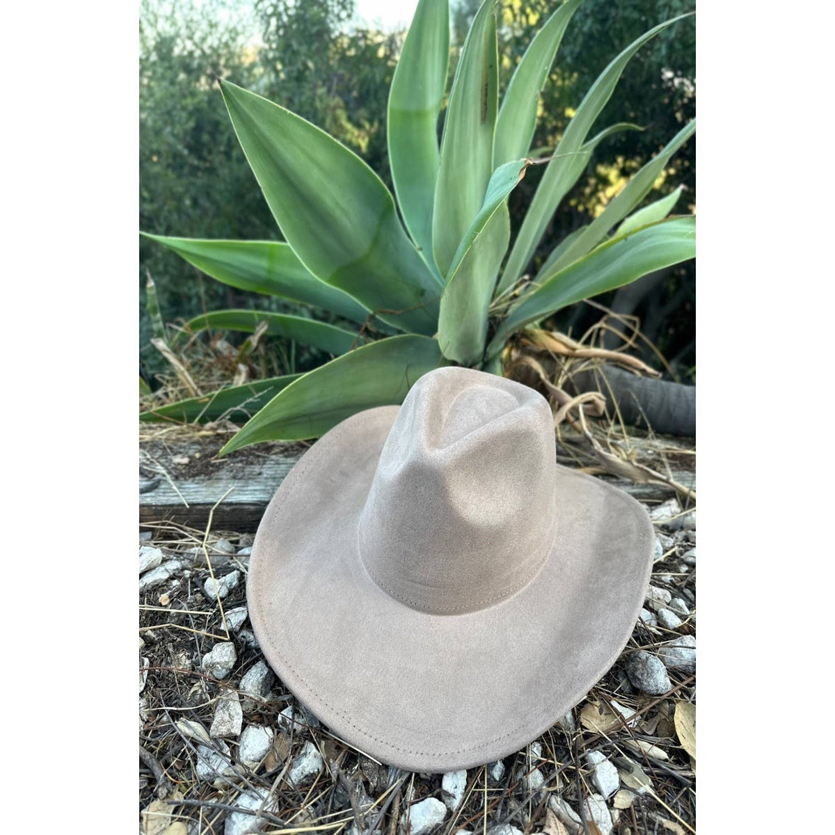 Queens INC - Fashion Vegan suede cowboy hat: TAUPE / ONE SIZE