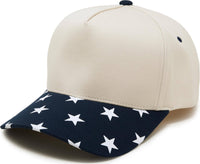 Funky Junque - Two Tone Vintage Snapback Hat - Star Print - Navy/Beige