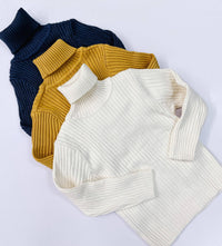 Ribbed Sweater Turtleneck